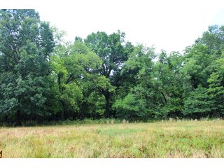 Property photo 25 - LAND AUCTION - 1,593+/- ACRES OFFERED IN 21 TRACTS IN OKMULGEE CO., OK